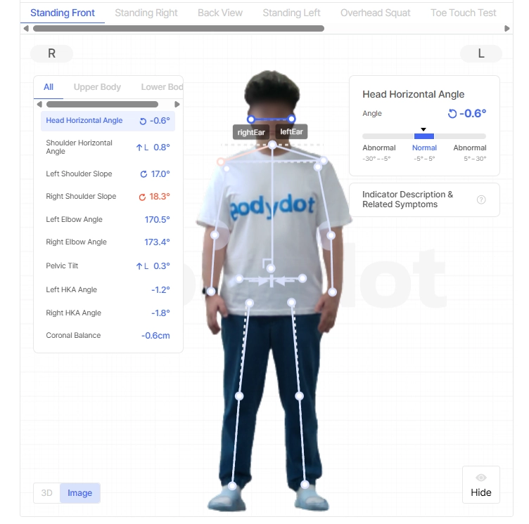 Bodydot Analysis Report